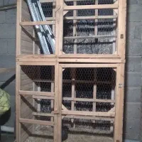 لانه پران. کبوتر