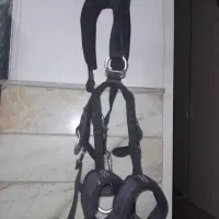 هارنس|کوهنوردی و کمپینگ|قم, حنیف نژاد|دیوار