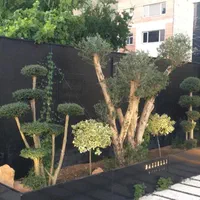 طراحی و اجرای فضای سبز،باغشهر،روفگاردن،تراس گاردن|مصالح و تجهیزات ساختمان|شیراز, نیایش|دیوار