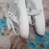 نیم بوت|کیف، کفش، کمربند|اصفهان, پروین|دیوار