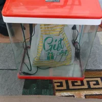 اکواریوم شرکتی