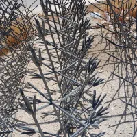 تولید شاخ گوزنی و سرنیزه|مصالح و تجهیزات ساختمان|دماوند, گیلاوند|دیوار