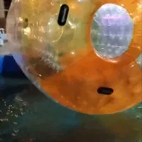 واگذاری پارک آبی|اسباببازی|بندر کنگان, |دیوار