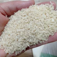 لاشه دم سیاه دودی|خوردنی و آشامیدنی|رشت, دیانتی|دیوار