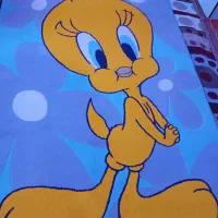 دوعددفرش اتاق کودک ۶متری ۴متری|فرش|آستارا, |دیوار