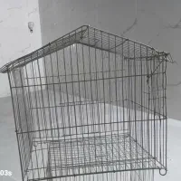 قفس