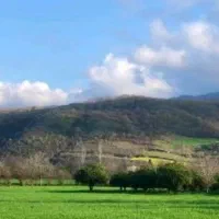 زمین ۲۵۰۰متر فروشی کنار شهرک صنعتی