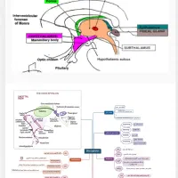مشاوره کنکور و تدریس و رفع اشکال زیست شناسی