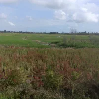 فروش مزرعه مکانیزه به متراژ۳۶۰۰متر ۵۰۰متری خیابان