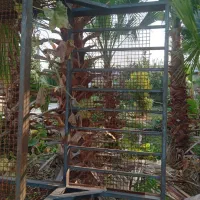 اتاق مزدا ۱۶۰۰|قطعات یدکی و لوازم جانبی|نوکنده, |دیوار