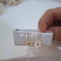 طلا نو نو ب قیمت خام