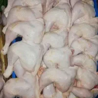 سفارش عمده|خوردنی و آشامیدنی|دهدشت, |دیوار