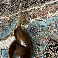 تار خوش صدا|سازهای سنتی|بجنورد, |دیوار