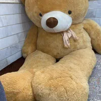 خرس بزرگ عروسکی|اسباب‌‌بازی|قم, شهرک امام حسن|دیوار