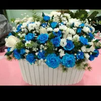 گل زیبا گلفروشی من