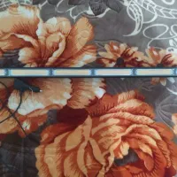 چراغ اسپورت فدرال نارنجی