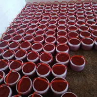 رب گوجه خانگی پنج کیلویی به شرط