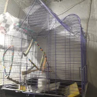 قفس بزرگ و کوچک