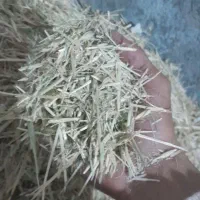 علف زعفران خشک وکوبیده