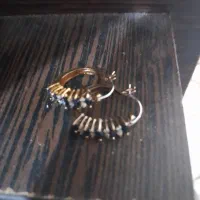 گوشواره بدلیجات|بدلیجات|شیراز, اصلاح‌نژاد|دیوار