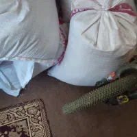 بذر گندم هراز دولتی|گل و گیاه طبیعی|گالیکش, |دیوار