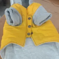 لباس وپیش بند سگ