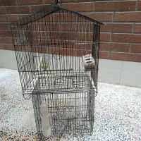 قفس سیره پرنده دوتا