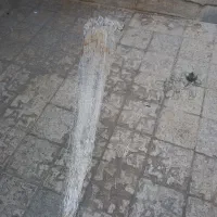 تور ماهیگیری