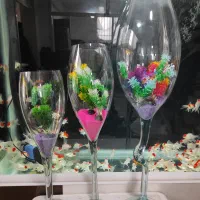 پخش عمده تنگ شیشه و جام هفت‌سین گیاه  تزیینات