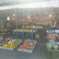 کارگرساده