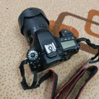 دوربین کنون 80D|دوربین عکاسی و فیلمبرداری|یزد, |دیوار