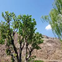 آپارتمان خام ۱۱۶ متری