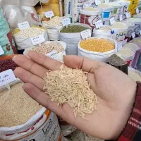 برنج ایرانی طارم قهوه ای غلامعباس فلاح وپسران(1gk)|خوردنی و آشامیدنی|مشهد, رسالت|دیوار