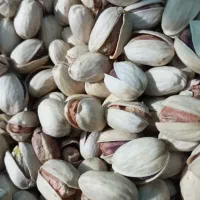 فروش پسته کله قوچی انس24دانه