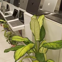 لپتاپهای lenovo  Asus Hp Dell اقساطی بدون ضامن