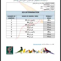 گرینچیک تراکوییس با تست پاین اپل|پرنده|تهران, هوانیروز|دیوار