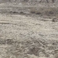 زمین ویلایی فرزندآوری سنددار شهرک طالقانی ماهشهر