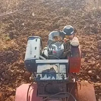 تیلردستـی|خدمات باغبانی و درختکاری|زرند, |دیوار