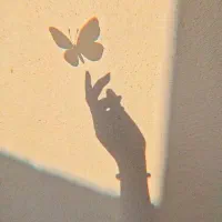 رحم جایگزین