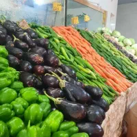 واگذاری مغازه میوه فروشی با تمام امکانات