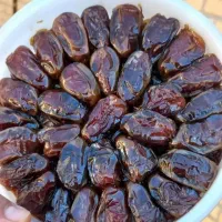 خرمای اصل جنوب|خوردنی و آشامیدنی|ساری, |دیوار