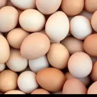 تخم مرغ محلی درشت خوردنی|خوردنی و آشامیدنی|شهمیرزاد, |دیوار