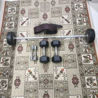 هالتر و دمبل