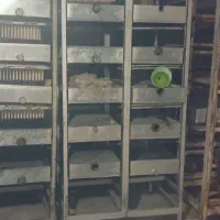 نبات|فروشگاه و مغازه|بردسکن, |دیوار