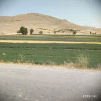 فروش ینجه