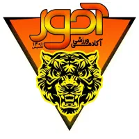 استخدام مدیر شبکه‌های اجتماعی (ادمین)