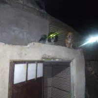 جا ندارم میخام بفرشم