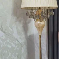 آباژور کنار سالن