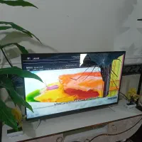 تلویزیون الیوی 43اینچ هوشمند|تلویزیون و پروژکتور|چابهار, |دیوار