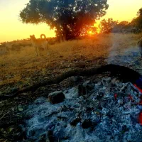 ذغال درجه ۱